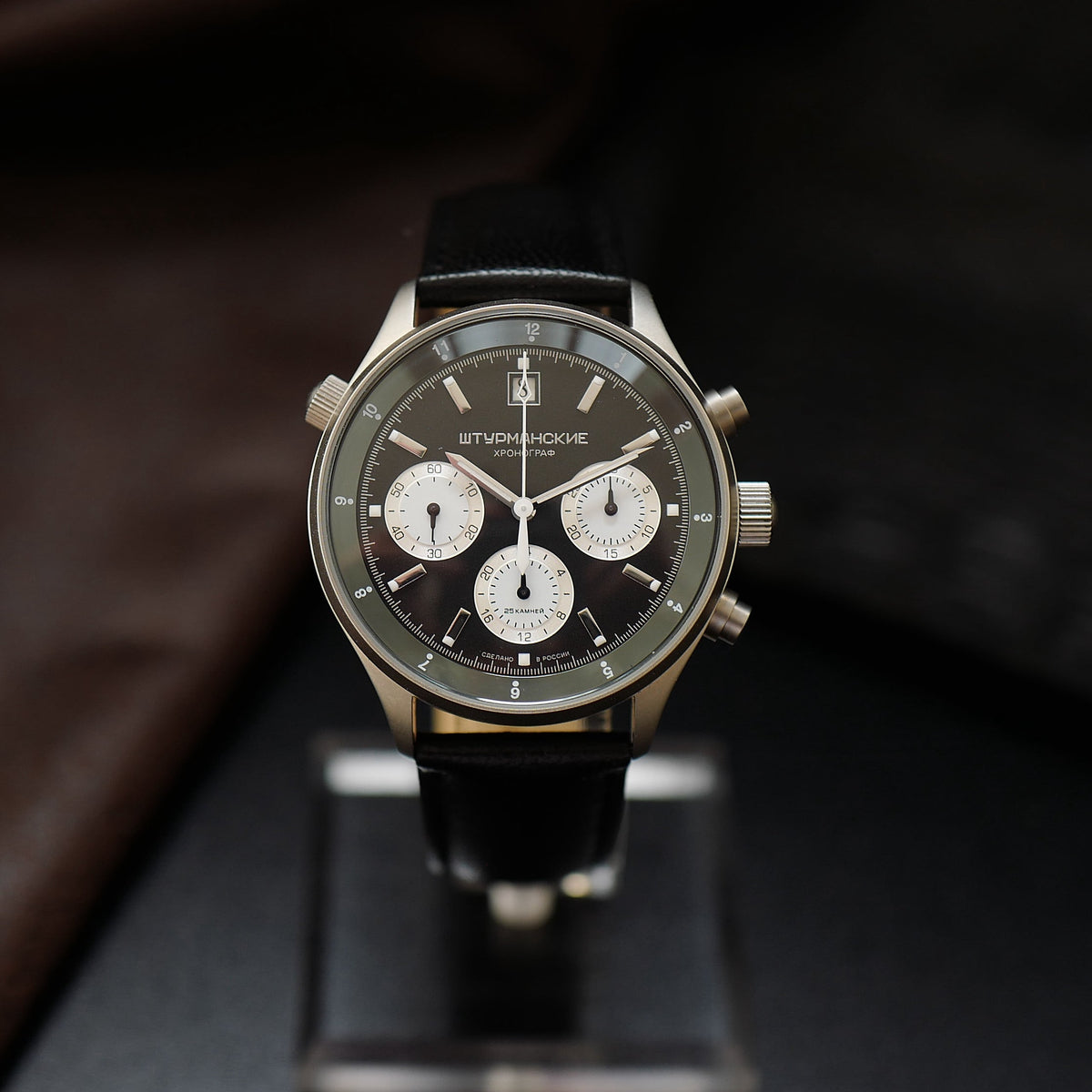 Sturmanskie Pilot - Poljot 31681