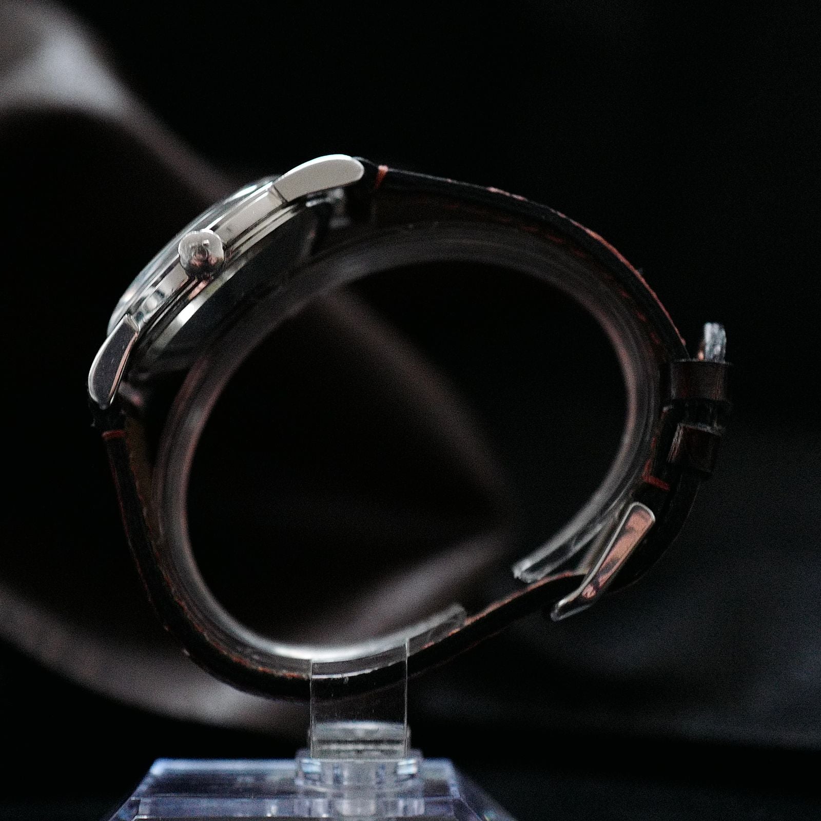 Omega Seamaster Stardust