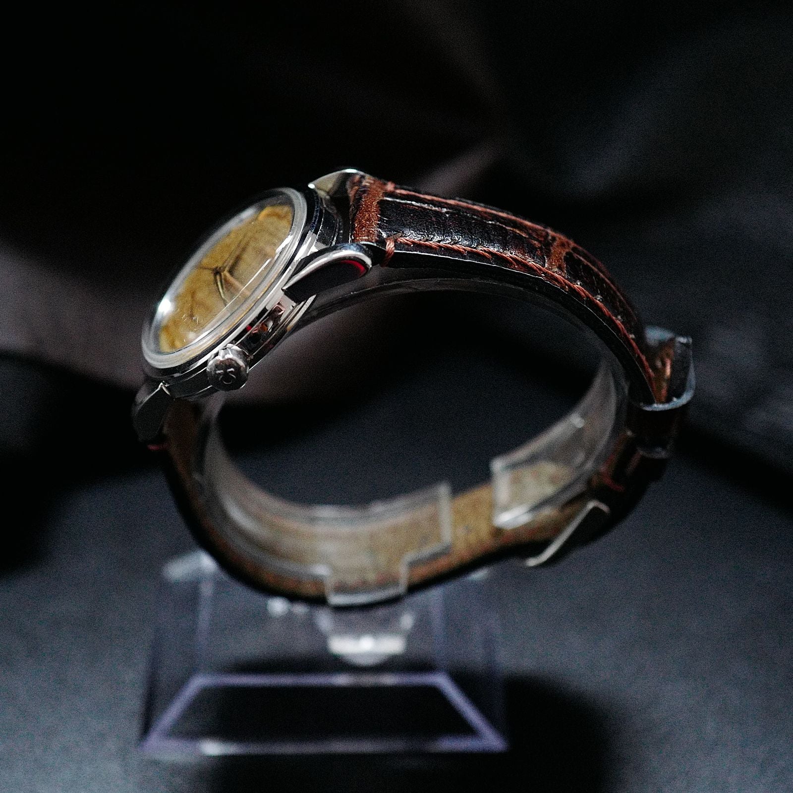 Omega Seamaster Stardust