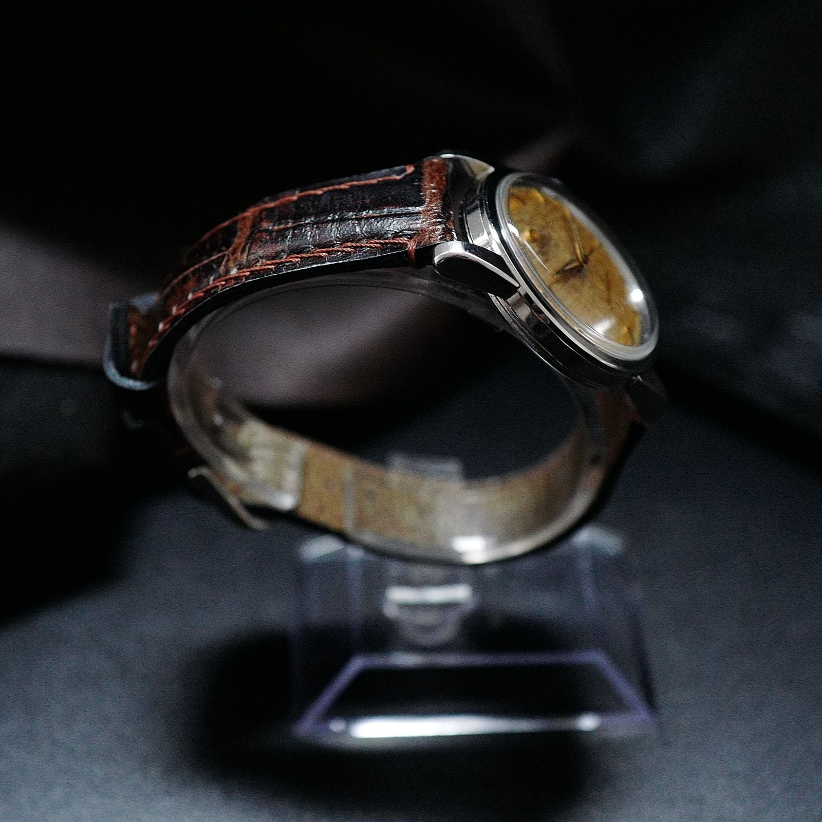 Omega Seamaster Stardust